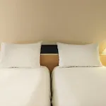 Ibis Centre Gare 호텔 3*
