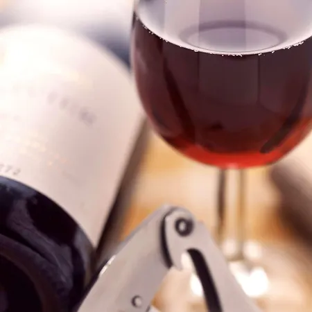 Ibis Centre Gare 3* טור