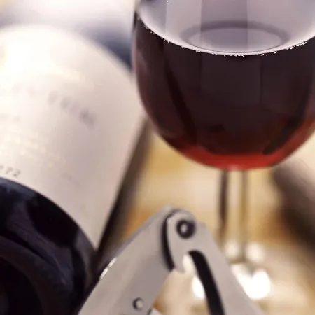 酒店 图尔中央车站宜必思酒店