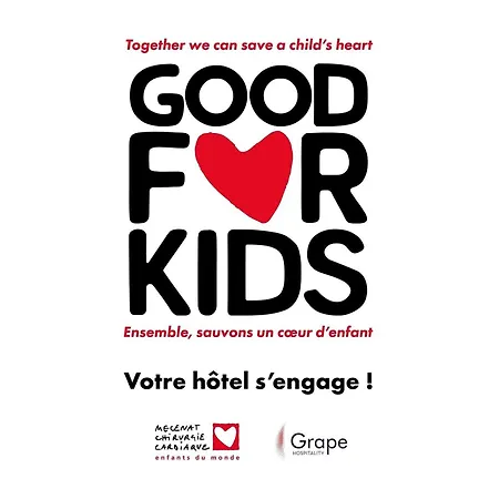 Ibis Centre Gare 3* Tours